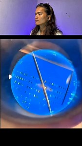 Ultra detailed chip zoom | Adelard Nimrod YB