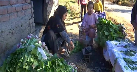 How Lives Are Changing In Kashmir's Border Villages