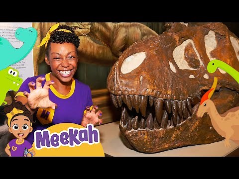 Meekah Meets a Baby Dino | Educational Videos for Kids | Blippi and Meekah Kids TV