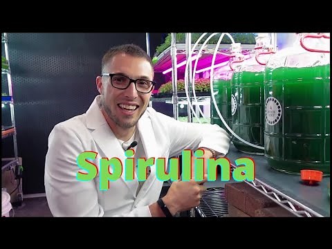It's ALIVE!! Spirulina Algae Growing with On The Grow!!