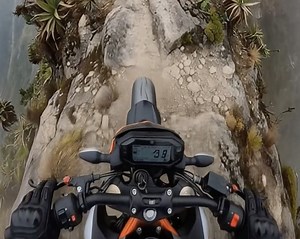 Tricky motorbike ride | Archie5 Reacts
