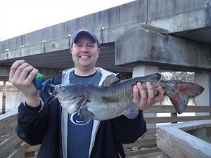 Fishing for Big Bullheads on the New River (Jacksonville, NC)