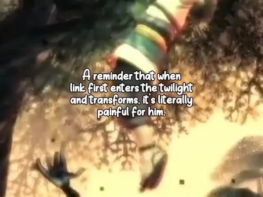 Die Legende von Zelda: Link und Wolf-Link