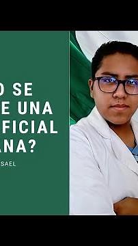 ¿Cómo se compone una Norma Oficial Mexicana? 🇲🇽🏥👨‍⚕️👩‍⚕️