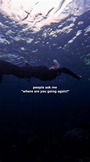 Exploring the Thrill of Freediving Adventures