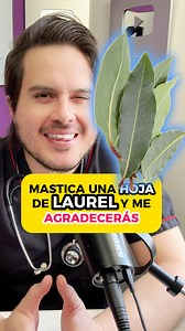 Mastica una hoja de Laurel, y me lo agradecerás de por vida | Bruno Román