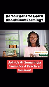 Semanhyia Farms is organizing for the first time ever, an in-person practical session on Goat Farm Management. Join us by clicking on the link www.fiakare.com/farm-management-training #semanhyiafarms #farminginafrica #animalfeeding #livestockfeed #goat🐐 #farmsetup #training #farmmanagement | Farming In Africa