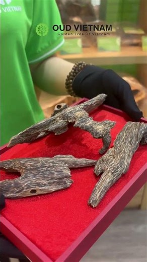 A Treasure Shaped by Time