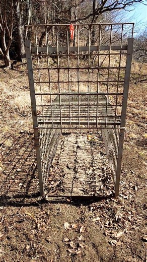 Box trap means a trap for capturing prey alive. Box traps are often used in the context of wildli...