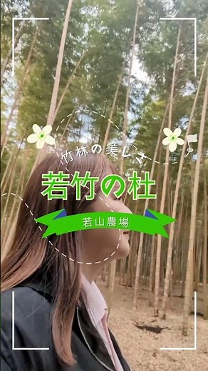 若山農場に学ぶ体験型観光、五感で楽しむ竹林と農業の未来◆パンダが愛した竹林◆松戸を創る