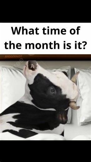 In this goofy ahh meme, a sleepy cow realizes what day it is, and the second the beat drops, the herd starts dancing to “Wake up, wake up, wake up, it’s the first of the month!” A tribute to the cow dancing meme that takes over the internet at the start of every month. The smooth setup and perfect transition from chill to chaos capture the monthly ritual energy we all love. If you enjoy meme humor and clever edits, this one’s for you Follow if you found this funny! | Jugge Rnot