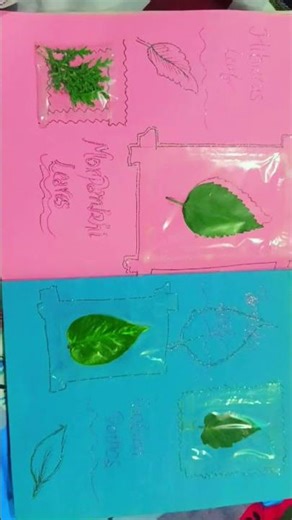 Gardening file for B.Ed🍁🌿🍂