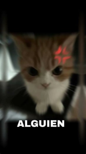 gato alien #humor #chistoso #memesdaily #gatos #cat #gatosbonitos