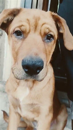 today is a good day but it better if u like comment and subscribe