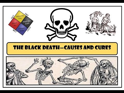 GCSE History: The Black Death - Causes and Cures
