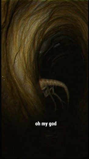 The Mines | Found Footage | L.A.B. #scary #monster