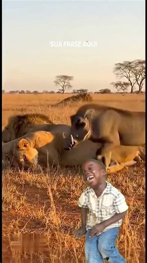 warthgo vs lion viral funny videos #############