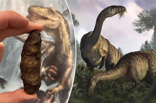 How fossilized dinosaur feces, vomit are helping scientists reconstruct creatures’ rise