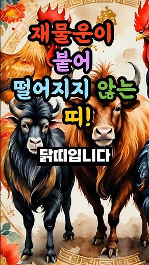 재물운이 붙어 떨어지지 않는 띠 #재물운 #운세 #오늘의운세