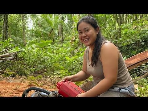 NO MORE PATIENCE! TREE SPLITTING IN A THUNDERSTORM