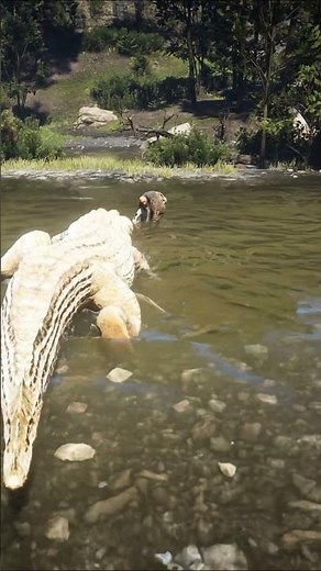 Giant Crocodile Attacks Man in Water - Epic Struggle Caught on Camera!