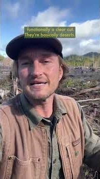 Our Forests Need More Retention - Healthy soils, healthy trees, healthy carbon cycling...