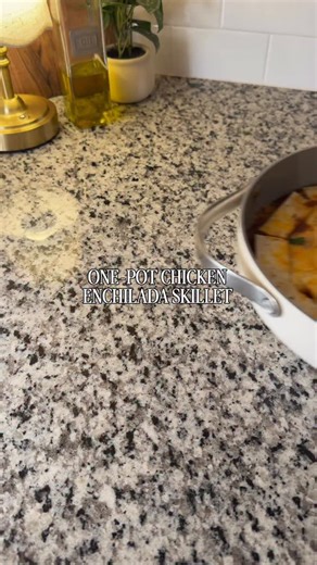 Katie Spigolon on Instagram: "CHICKEN ENCHILADA SKILLET — full recipe below 👇🏼 INGREDIENTS •1 lb chicken breast (2-3 breasts, uncooked weight) •1 cup diced onion •1/2 cup black beans •1/2 cup corn •1 can green Chiles (4 oz) •1 cup cooked rice (microwave bag does the job!) •1 jar enchilada sauce (12-15oz) •3 tortillas, cut into strips (I used fajita size) •1 cup shredded cheese (I used half mozzarella / half cheddar) •1/4 tsp pepper, salt, garlic powder •1/2 tsp oregano INSTRUCTIONS 1. Dice oni