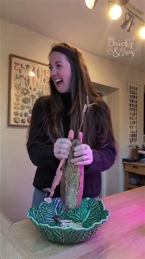 Luffas Don’t Come From The Sea?! 😲 Growing Your Own Sponges