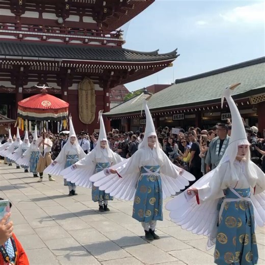 Demain débute le célèbre festival du Sanja Matsuri à Asakusa.À partir de 13h, une grande procession traversera les rues avec chars musicaux, la danse du héron blanc (Shirasagi no Mai), des porteurs traditionnels et divers spectacles folkloriques #Japon