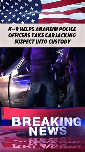 Police K-9 Jumps Through Truck Window to Stop Suspect After High-Speed Chase Across Southern California A dramatic moment caught on camera 🚨🐕‍🦺 After a high-speed chase in Southern California, a police K-9 makes a bold move to stop a suspect. The intense footage highlights training, teamwork, and fast decision-making during real-life law enforcement situations. #BreakingNews #PoliceK9 #RealFootage #NewsUpdate #LawEnforcement