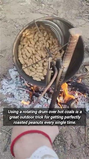 Roasting Fresh Peanuts Over Open Fire With Handmade Tool