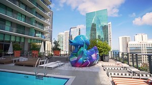 69K views · 537 reactions | It's your last chance to take that summer vacation you've been dreaming about! Book your stay during Miami Hotel Months and enjoy amazing deals and special offers, now through September. #MiamiTemptations | Visit Miami | Facebook