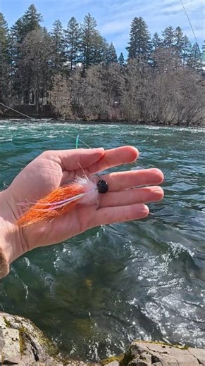 How to use Twitching Jig