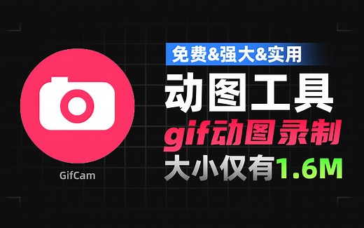 免费、强大、超实用、大小仅1.6M的gif动图录制软件-gifcam动图录制