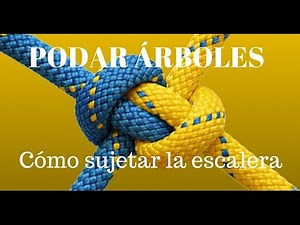 Poda de Arboles – Cómo sujetar la escalera