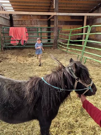 My baby Ryden is too cute🩵🦬 Ryden and Hunya duo are back in business | Marci Burd