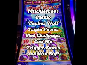 Muckleshoot Casino Timber Wolf Triple Power Slot Challenge: Can We Trigger Bonus Win Big?