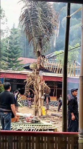 Upacara adat rambu solo' atau kematian Toraja