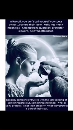 🐾 BE A “KAHU”, not just a pet owner! 🐾“The Hawaiian word "kahu" is used to refer to someone who has a pet, rather than the term "pet owner." This word has a deep spiritual meaning, as it implies that the person and their pet are connected on a spiritual level. "Kahu" can be translated as "guardian" or "protector." It is often used to refer to the keepers of sacred places, such as temples. In the context of pets, the word "kahu" implies that the person is responsible for the well-being of their