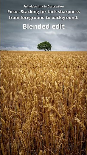Easy Focus Stacking in Landscape Photography Learn Focus Stacking / Focus Blending for FREE.