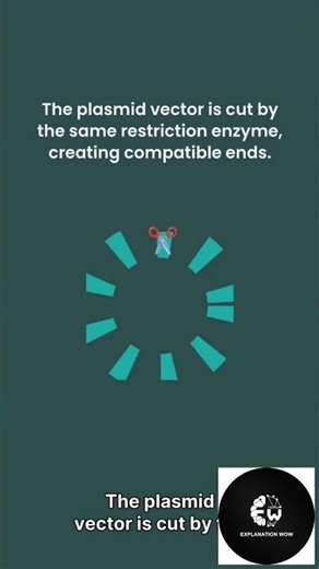 Biotechnology Basis 🧬 Class 12th