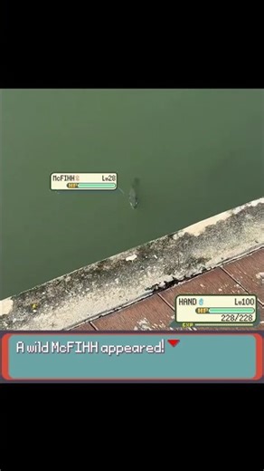 A wild Pokemon FISH appeared -EeveeSite #pokemon #irlpokemon #funnyfish #pokemonmemes #pokemonbattle