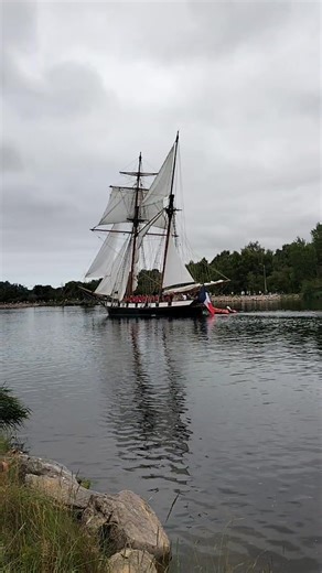 Bon vent aux bateaux de ces 3 jours intenses du week- end maritime du Millénaire de Caen, bravo et merci aux organisateurs ! | Colleville-Montgomery
