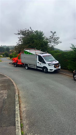 Expert Tree Surgeon Services for Your Project