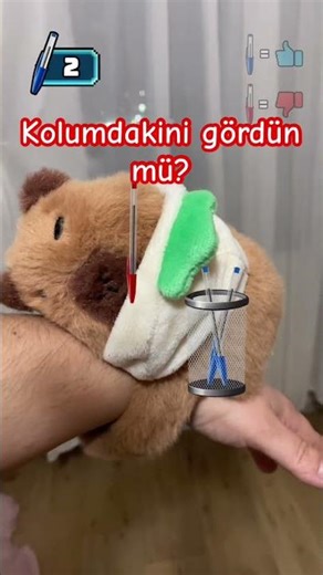 Kolumda bir Capybara 🐻 #games #games #roblox #automobile #reklam