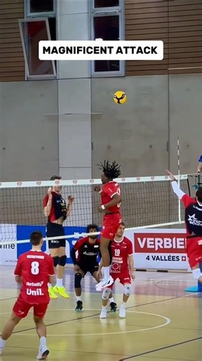 Magnificent attack 👌