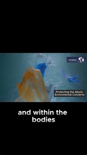 Microplastics Reach the Mariana Trench—What’s in Earth’s Deepest Ocean? | TerraNova