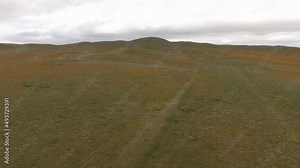 Antelope Valley California Poppy Reserve in Mojave Desert, CA