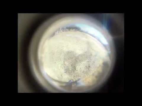 How To Make A HomeMade FishEye lens With Any Camera (easy)