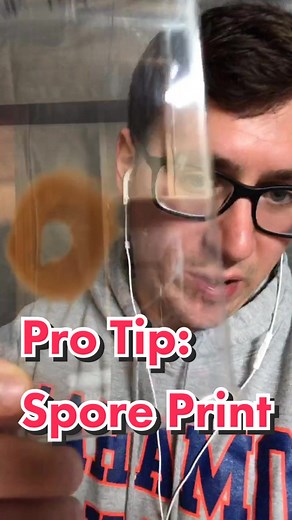 Fresh from the Farm Fungi on TikTok